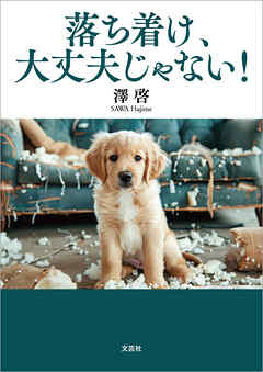 落ち着け、大丈夫じゃない！