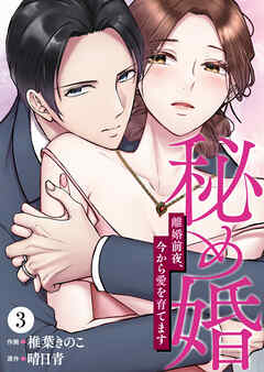 秘め婚　離婚前夜、今から愛を育てます 第3話