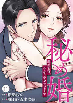 秘め婚　離婚前夜、今から愛を育てます 第11話
