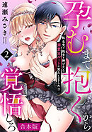 孕むまで抱くから覚悟しろ～転生先で処女を捧げたら溺愛Hルートに突入しました!?～【合本版】(2)