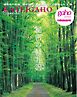 別冊家庭画報 秘密の軽井沢
