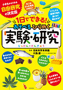 １日でできる！　あそべるひらめく実験・研究