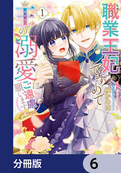 職業王妃ですので王の溺愛はご遠慮願います【分冊版】　6