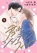 君はシンデレラフィット 単行本版 3