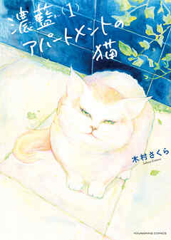 濃藍アパートメントの猫