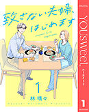 致さない夫婦、はじめます