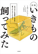 図鑑いきもの飼ってみた　カマキリを黄色い世界で育てたらどうなる？