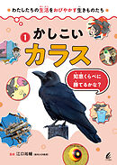 かしこいカラス 知恵くらべに勝てるかな？