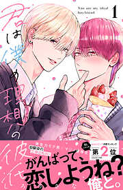 君は僕の理想の彼氏