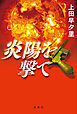 炎陽を撃て