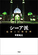 シーア派――起源と行動原理