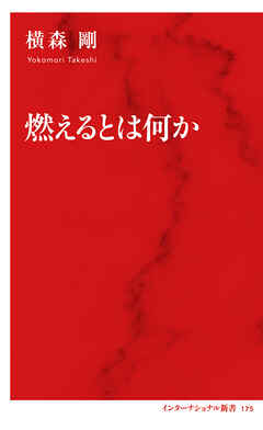 燃えるとは何か（インターナショナル新書）