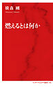 燃えるとは何か（インターナショナル新書）
