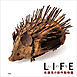 LIFE いのち 佐藤浩の創作動物園