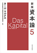 新版　資本論　第5分冊