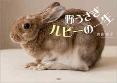 野うさぎルビーの一生