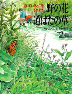 野の花 道ばたの草　さいているところ さがそう