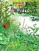 野の花 道ばたの草　さいているところ さがそう