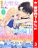 前世は大聖女でした。今世は普通の令嬢として、泣き虫騎士と幸せな結婚がしたい！ 3