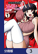 因習系邪神様メイリュちゃん【分冊版】　3