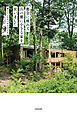 都会に疲れて、山の麓に小さな家を買いました