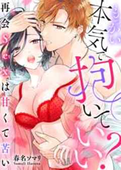 もっかい本気で抱いていい？～再会Sexは甘くて苦い～