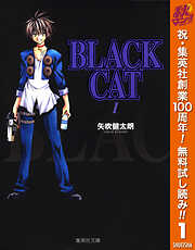 BLACK CAT