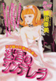 迷宮のシンデレラ