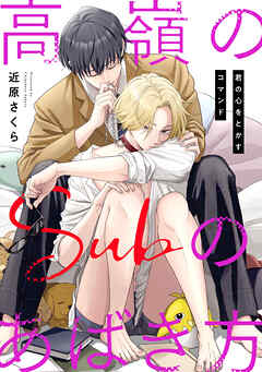 高嶺のSubのあばき方～君の心をとかすコマンド～