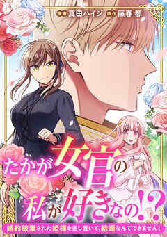 たかが女官の私が好きなの！？　婚約破棄された姫様を差し置いて、結婚なんてできません！