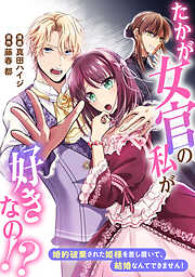 たかが女官の私が好きなの！？　婚約破棄された姫様を差し置いて、結婚なんてできません！