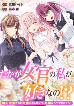 たかが女官の私が好きなの！？　婚約破棄された姫様を差し置いて、結婚なんてできません！