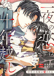 一夜の恋は十年越しに～待宵の花嫁は愛される～