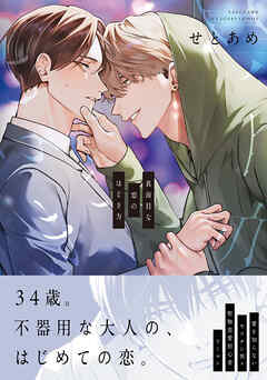 真面目な恋のほどき方【電子限定特典つき】