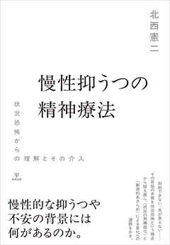 慢性抑うつの精神療法　状況恐怖からの理解とその介入
