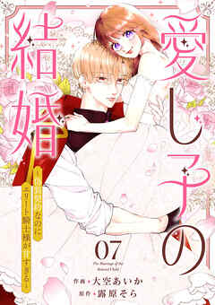 愛し子の結婚～偽装契約なのにエリート騎士様が甘すぎる～７