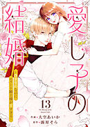 愛し子の結婚～偽装契約なのにエリート騎士様が甘すぎる～１３