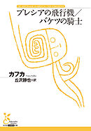 ブレシアの飛行機／バケツの騎士