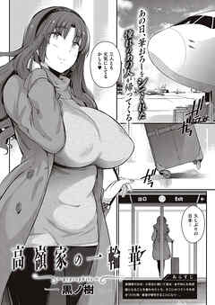 高嶺家の一輪華～gypsophila～