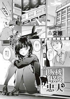 自販機横の忠犬