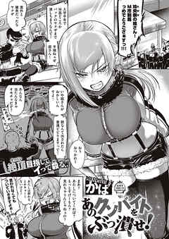 あのクソバイトをぶっ潰せ！