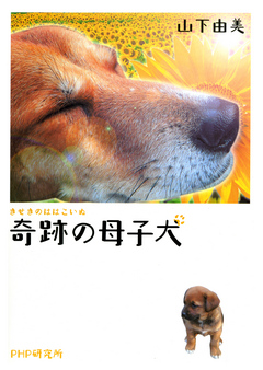 奇跡の母子犬 山下由美 漫画 無料試し読みなら 電子書籍ストア ブックライブ