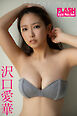 FLASHデジタル写真集　沢口愛華　Silent Heat