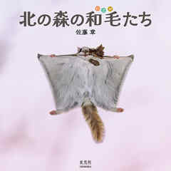 北の森の和毛たち