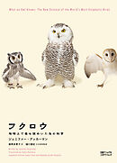 フクロウ　地球上で最も謎めいた鳥の科学