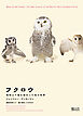 フクロウ　地球上で最も謎めいた鳥の科学