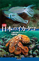 決定版 日本のイカ・タコ