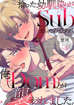 拾った幼馴染がSubだったんですが、俺が襲われました。 Ep.3
