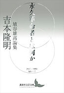 永久革命者とは何か　埴谷雄高論集