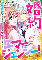 婚約エマージェンシー！～結婚前夜に見知らぬイケメンに求婚されました！？